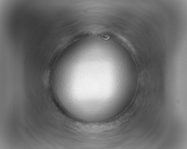 X0000074940018200609152016