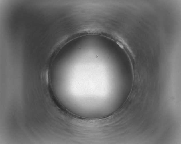 X0000074940019200609152016