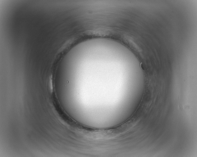 X0000074940020200609152016