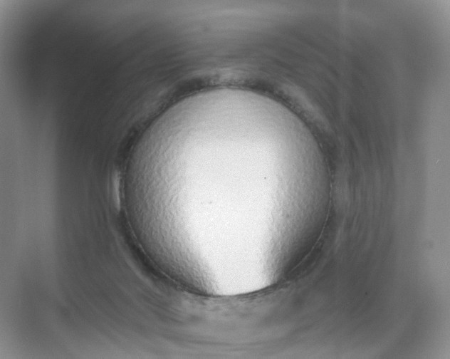 X0000074940022200609152016