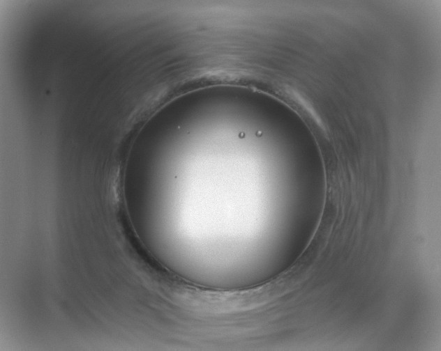 X0000074940023200609152016