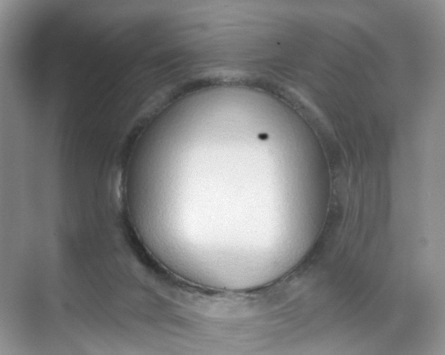 X0000074940024200609152016