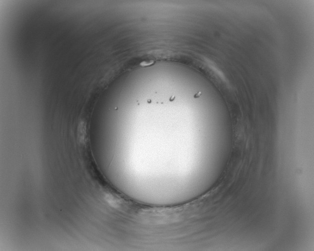 X0000074940025200609152016