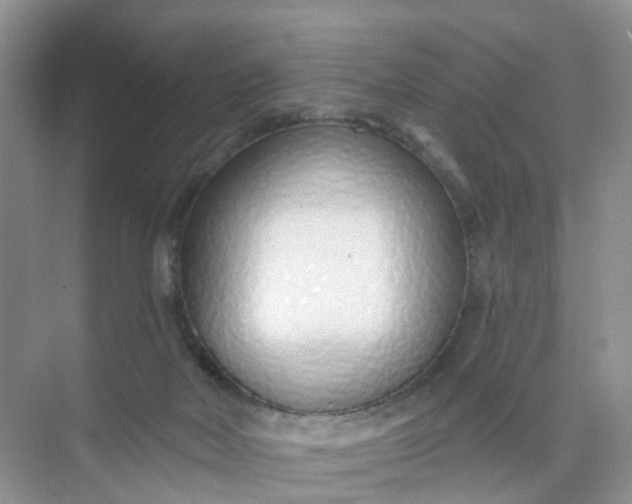 X0000074940026200609152016