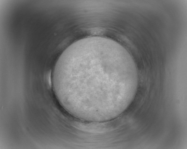 X0000074940028200609152016