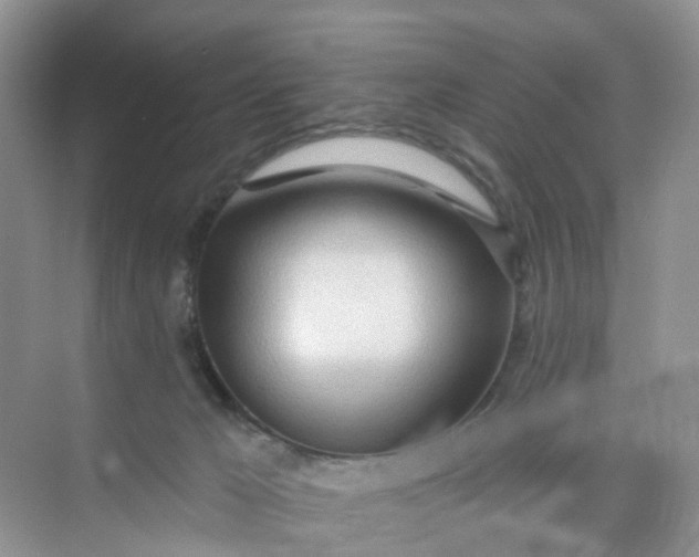 X0000074940029200609152016