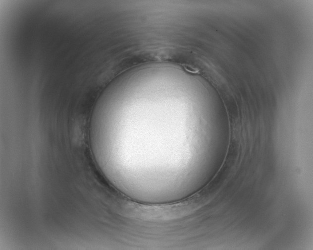 X0000074940030200609152016