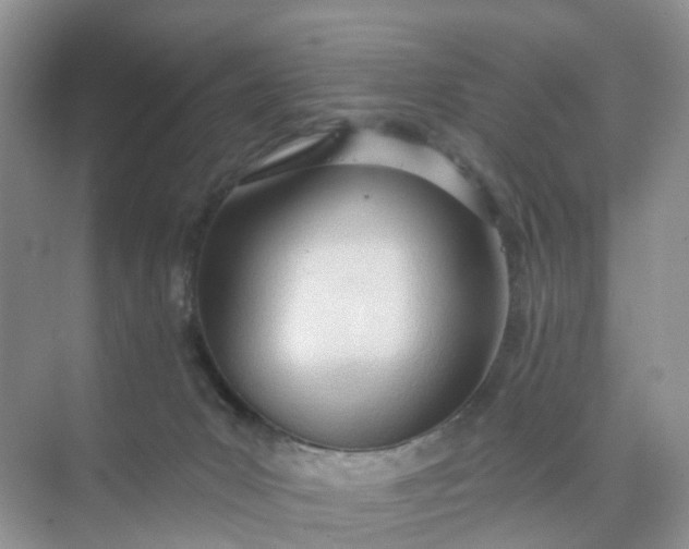 X0000074940031200609152016