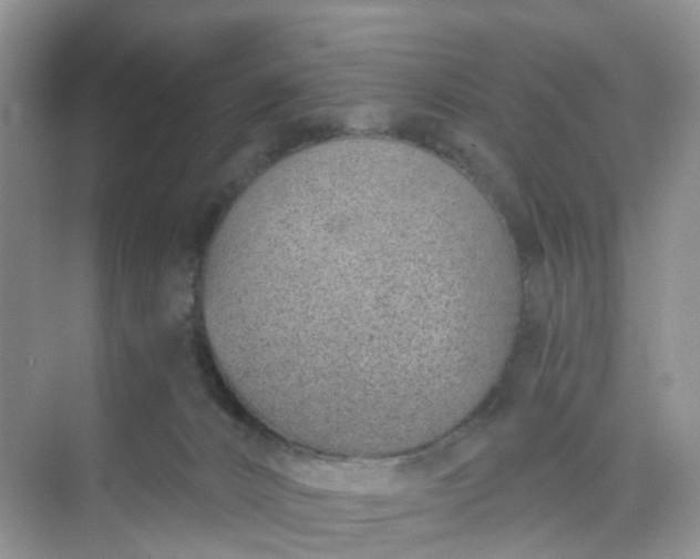 X0000074940032200609152016