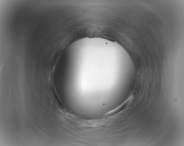 X0000074940033200609152016