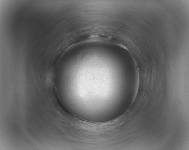 X0000074940035200609152016