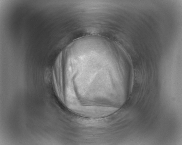 X0000074940036200609152016