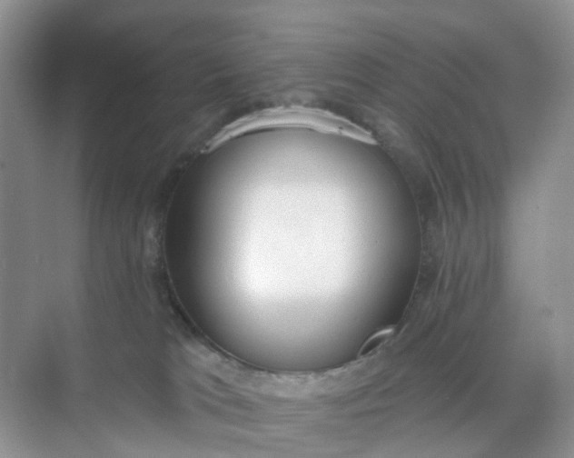 X0000074940037200609152016