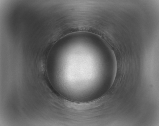 X0000074940039200609152016