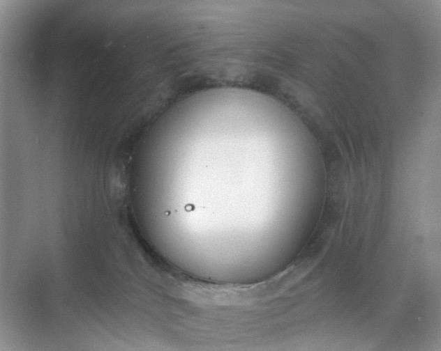 X0000074940040200609152016