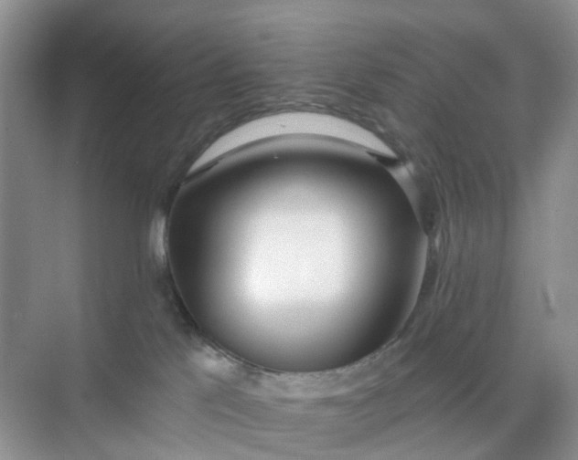 X0000074940041200609152016