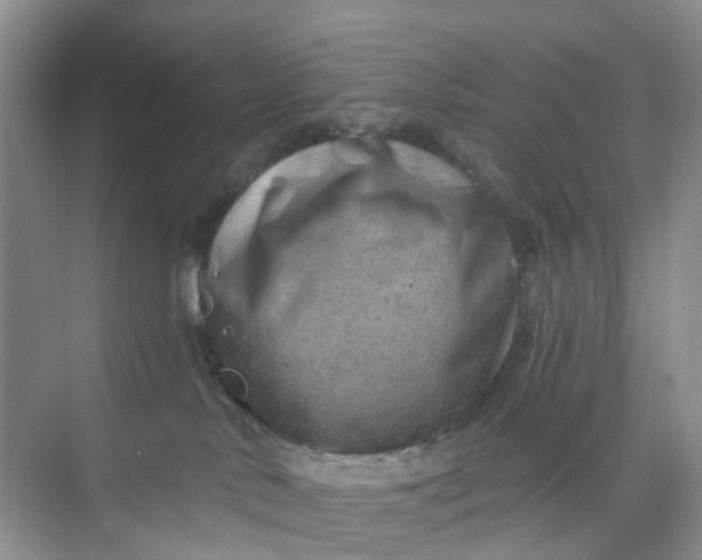 X0000074940042200609152016