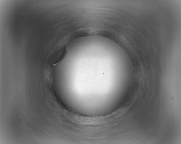 X0000074940044200609152016