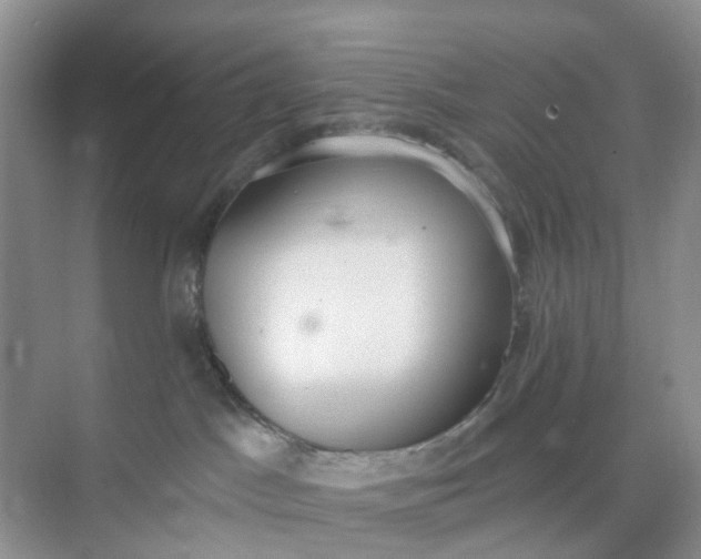 X0000074940045200609152016