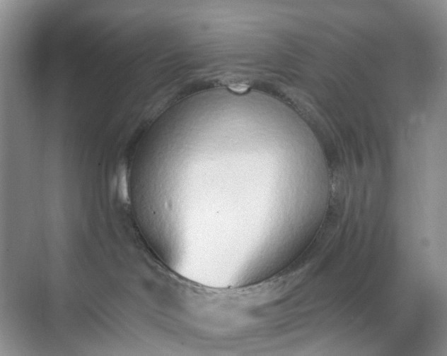 X0000074940046200609152016