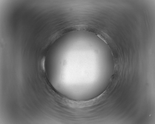 X0000074940047200609152016