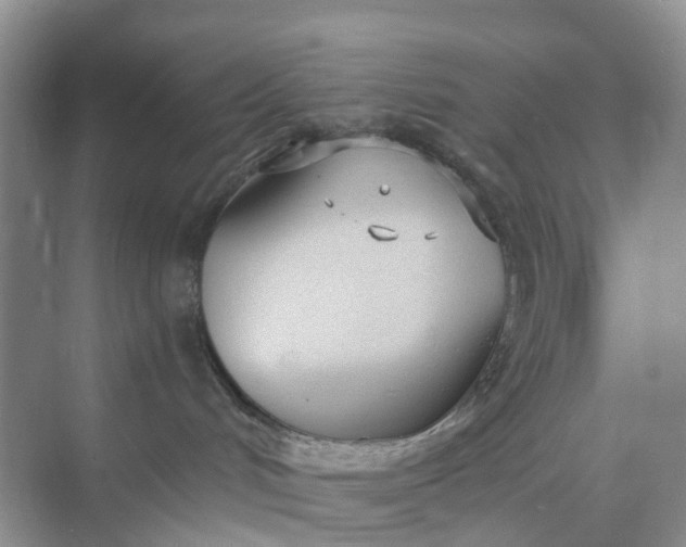 X0000074940048200609152016