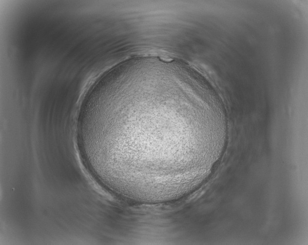 X0000074940049200609152015