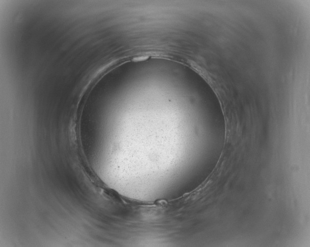 X0000074940050200609152015