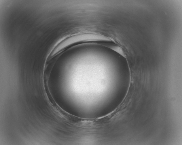 X0000074940052200609152015