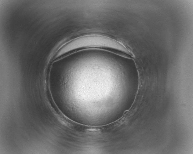 X0000074940053200609152015