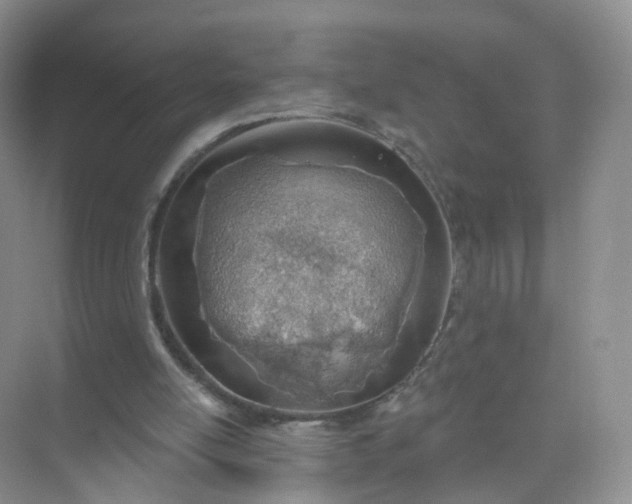 X0000074940054200609152015