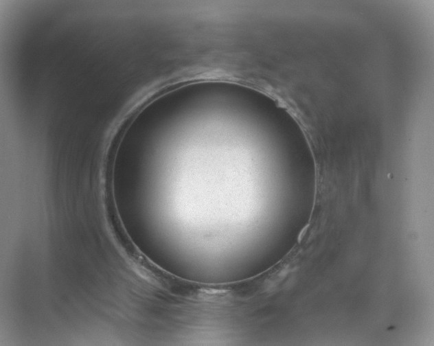 X0000074940055200609152015