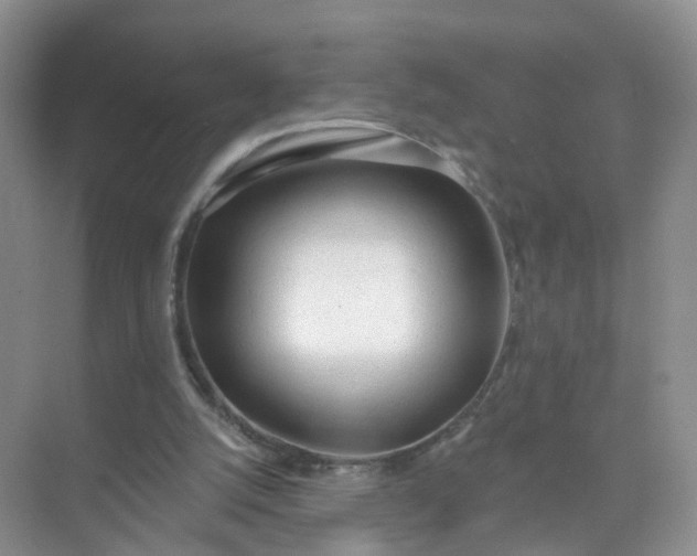 X0000074940056200609152015