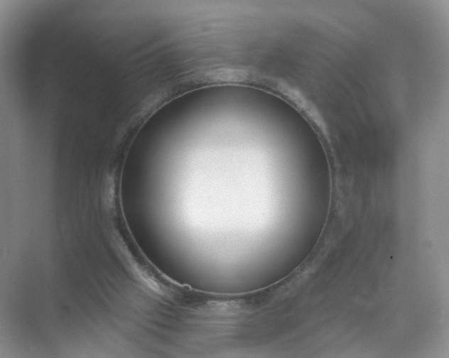 X0000074940057200609152015