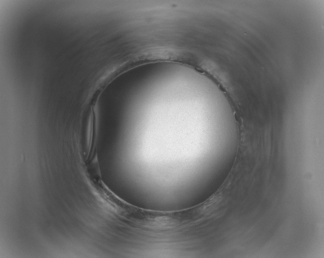 X0000074940058200609152015