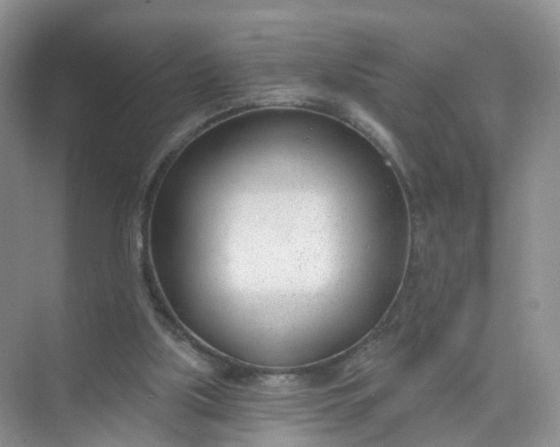 X0000074940059200609152015