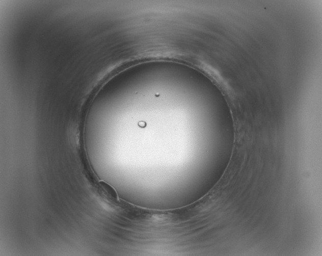 X0000074940060200609152015