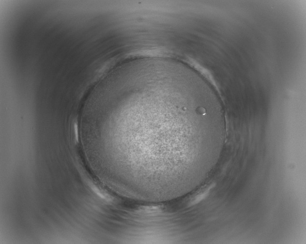 X0000074940061200609152015