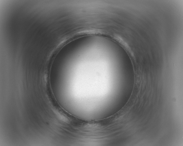 X0000074940063200609152015