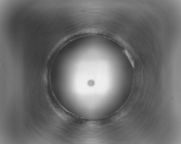 X0000074940064200609152015