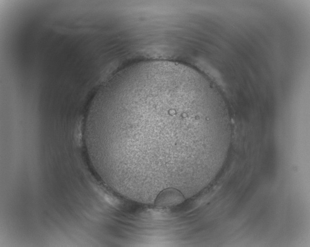 X0000074940065200609152015