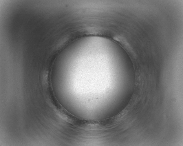 X0000074940066200609152015