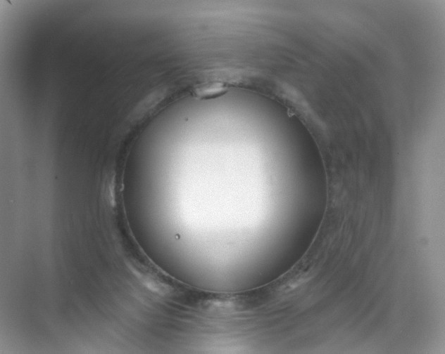 X0000074940068200609152015