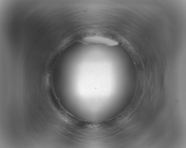 X0000074940071200609152015