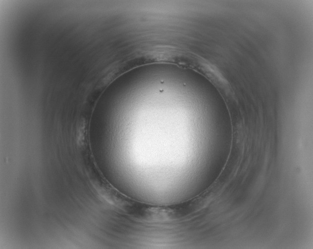 X0000074940073200609152015