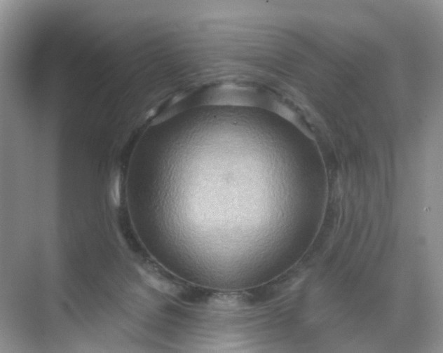 X0000074940076200609152015