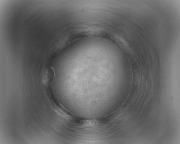 X0000074940077200609152015