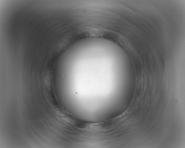 X0000074940078200609152015