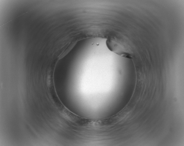 X0000074940080200609152016