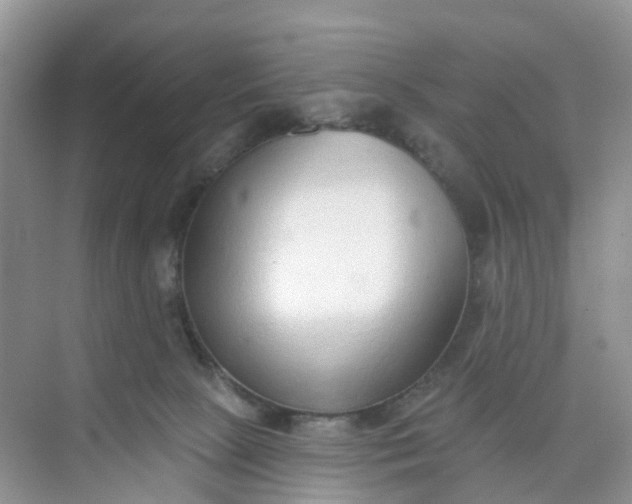 X0000074940081200609152016